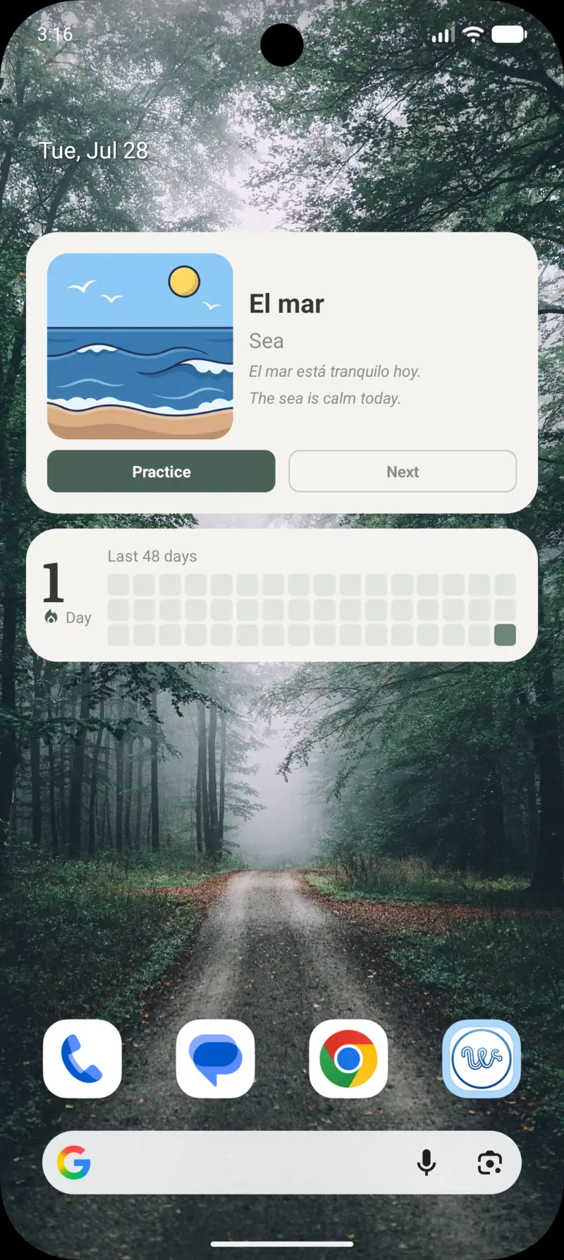 Android home screen with a Wordify word widget above a 4x1 streak widget